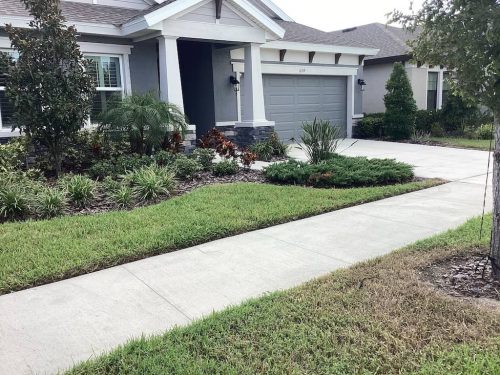 Lawn Services Brandon Fl 1848