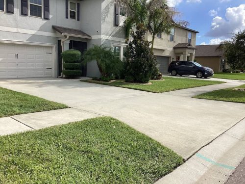 Lawn Services Brandon Fl 1852
