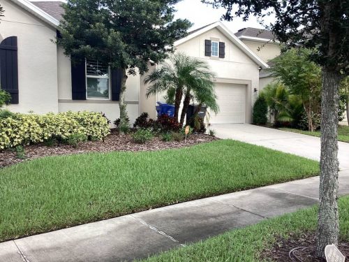 Lawn Services Brandon Fl 1853