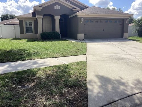 Lawn Services Brandon Fl 1854
