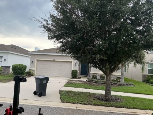 Lawn Services Brandon Fl 1857
