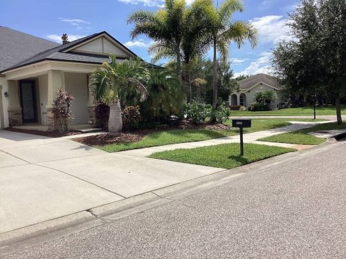Lawn Services Brandon Fl 1859