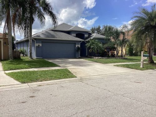 Lawn Services Brandon Fl 1861