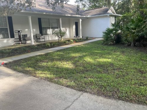 Lawn Services Brandon Fl 1863