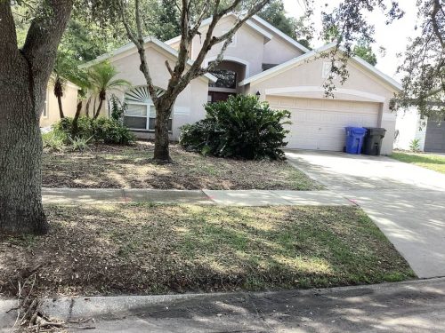 Lawn Services Brandon Fl 1865