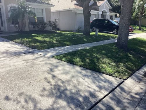 Lawn Services Brandon Fl 1867