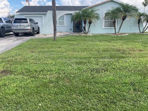 Lawn Services Brandon Fl 1868