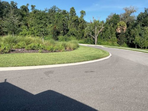 Lawn Services Brandon Fl 1869