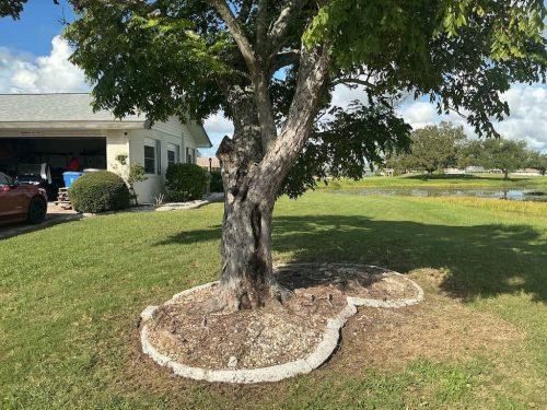Lawn Services Brandon Fl 1870
