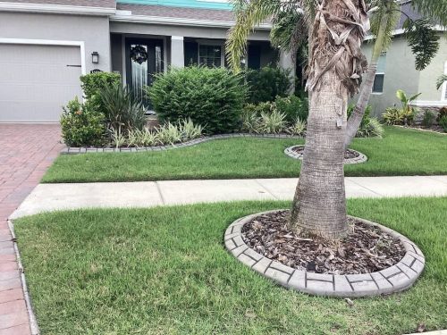 Lawn Services Brandon Fl 1872