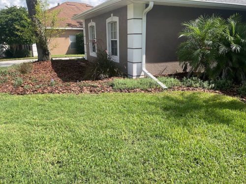 Lawn Services Brandon Fl 1873