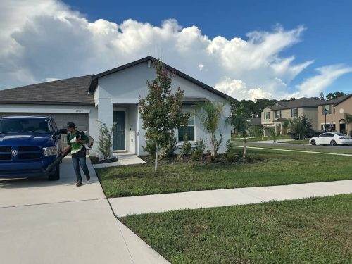 Lawn Services Brandon Fl 1874