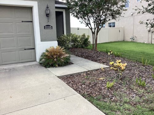 Lawn Services Brandon Fl 1875