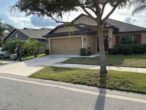 Lawn Services Brandon Fl 1877