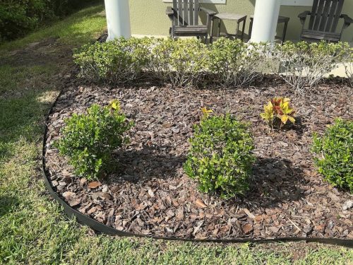 Lawn Services Brandon Fl 1879