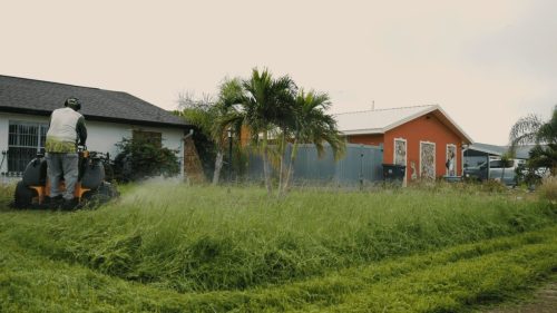 Lawn Services Brandon FL 188