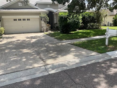 Lawn Services Brandon Fl 1880