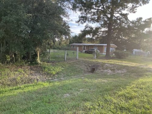Lawn Services Brandon Fl 1882