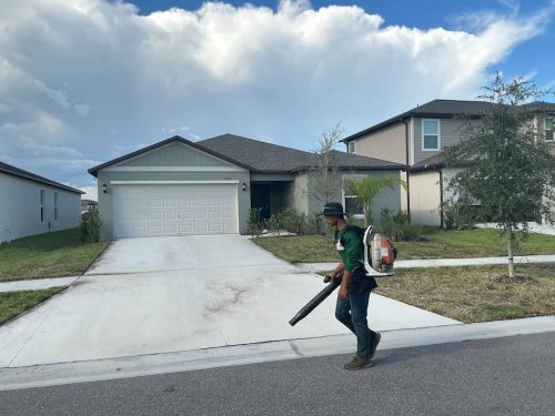 Lawn Services Brandon Fl 1884