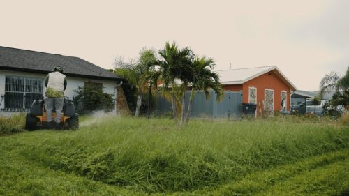 Lawn Services Brandon FL 189