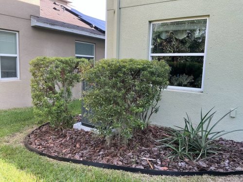 Lawn Services Brandon Fl 1894