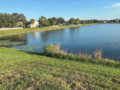 Lawn Services Brandon Fl 1895