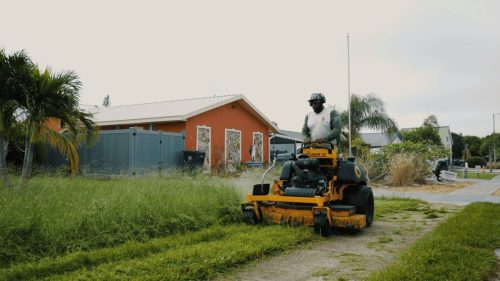 Lawn Services Brandon FL 190