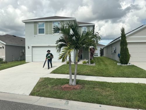 Lawn Services Brandon Fl 1900