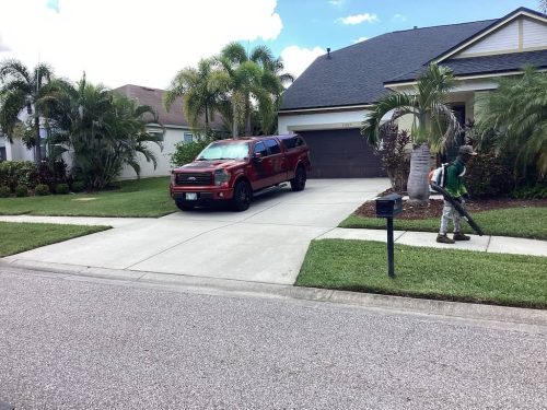 Lawn Services Brandon Fl 1905