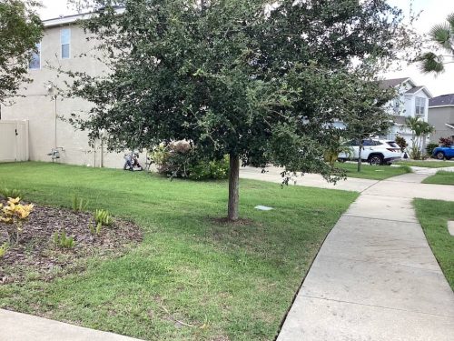 Lawn Services Brandon Fl 1906