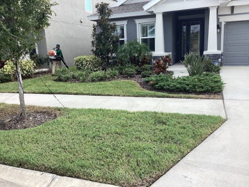 Lawn Services Brandon Fl 1909