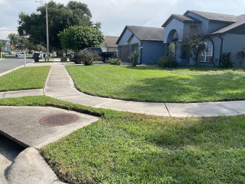 Lawn Services Brandon Fl 1911