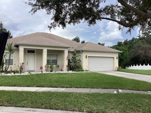 Lawn Services Brandon Fl 1919