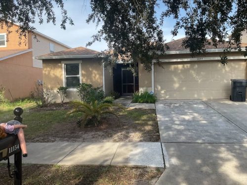 Lawn Services Brandon Fl 1920