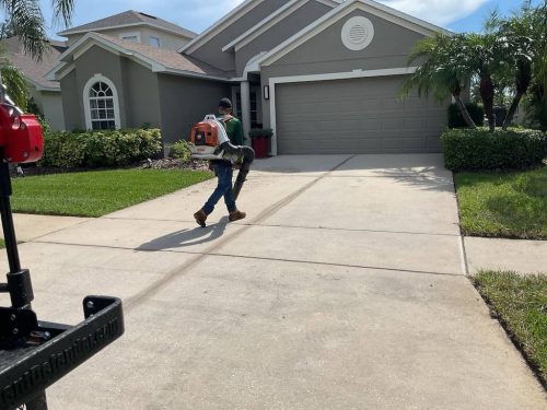 Lawn Services Brandon Fl 1922