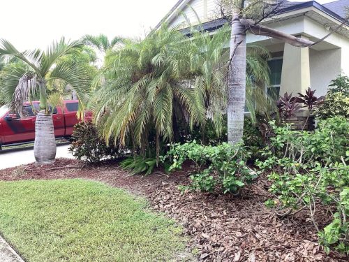 Lawn Services Brandon Fl 1924