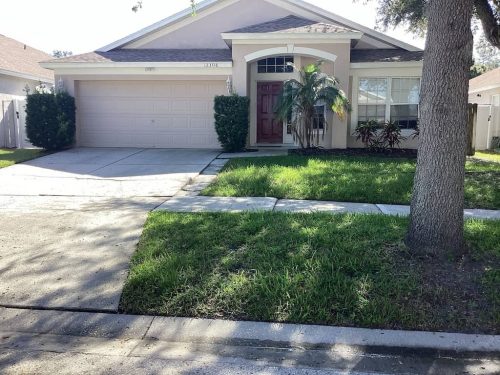 Lawn Services Brandon Fl 1925