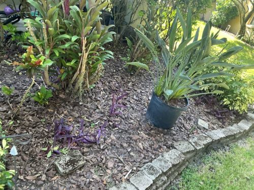 Lawn Services Brandon Fl 1939