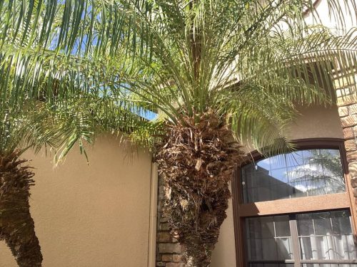 Lawn Services Brandon Fl 1942
