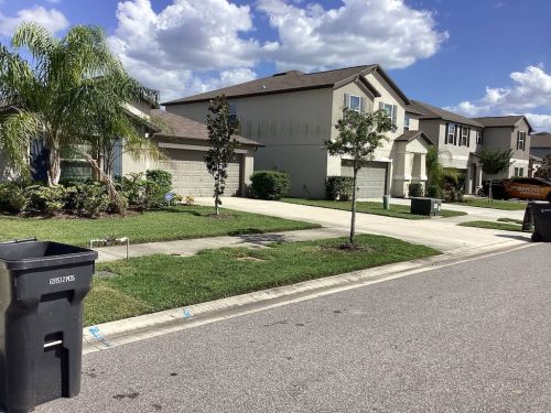 Lawn Services Brandon Fl 1943
