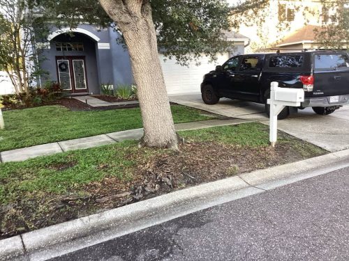 Lawn Services Brandon Fl 1944