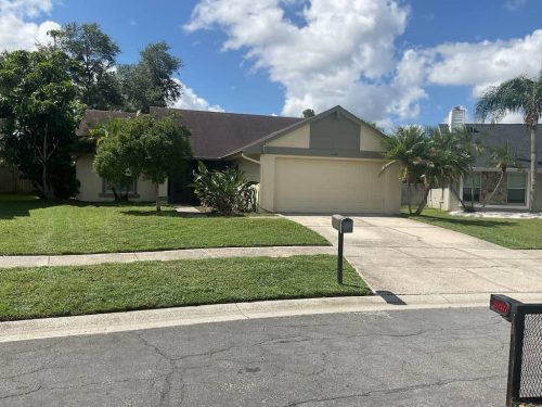 Lawn Services Brandon Fl 1951