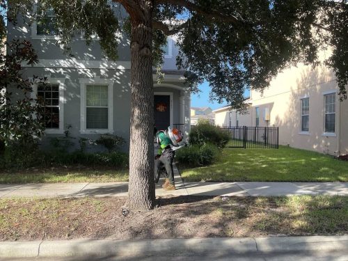 Lawn Services Brandon Fl 1961