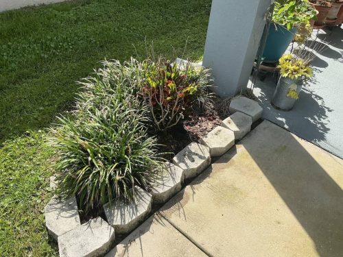 Lawn Services Brandon Fl 1964