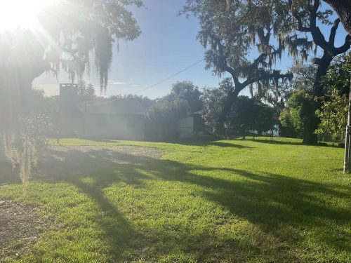Lawn Services Brandon Fl 1965