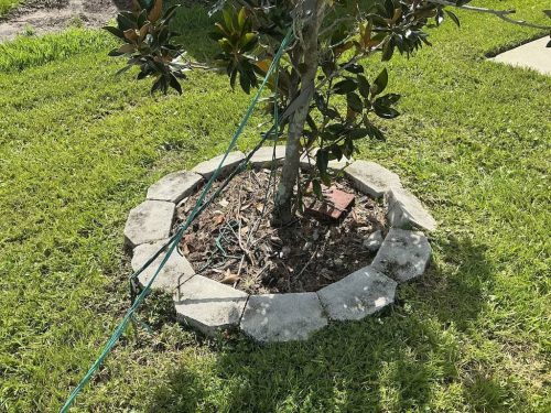 Lawn Services Brandon Fl 1967