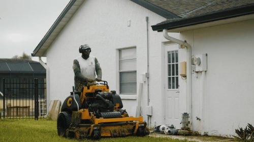 Lawn Services Brandon FL 197