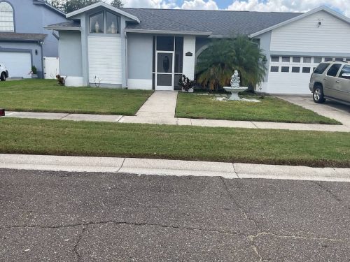 Lawn Services Brandon Fl 1971