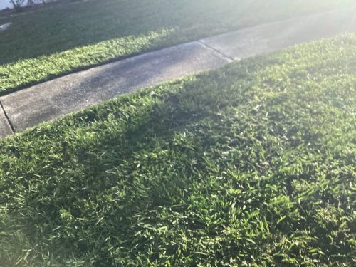 Lawn Services Brandon Fl 1974