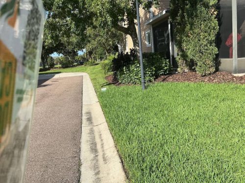 Lawn Services Brandon Fl 1975
